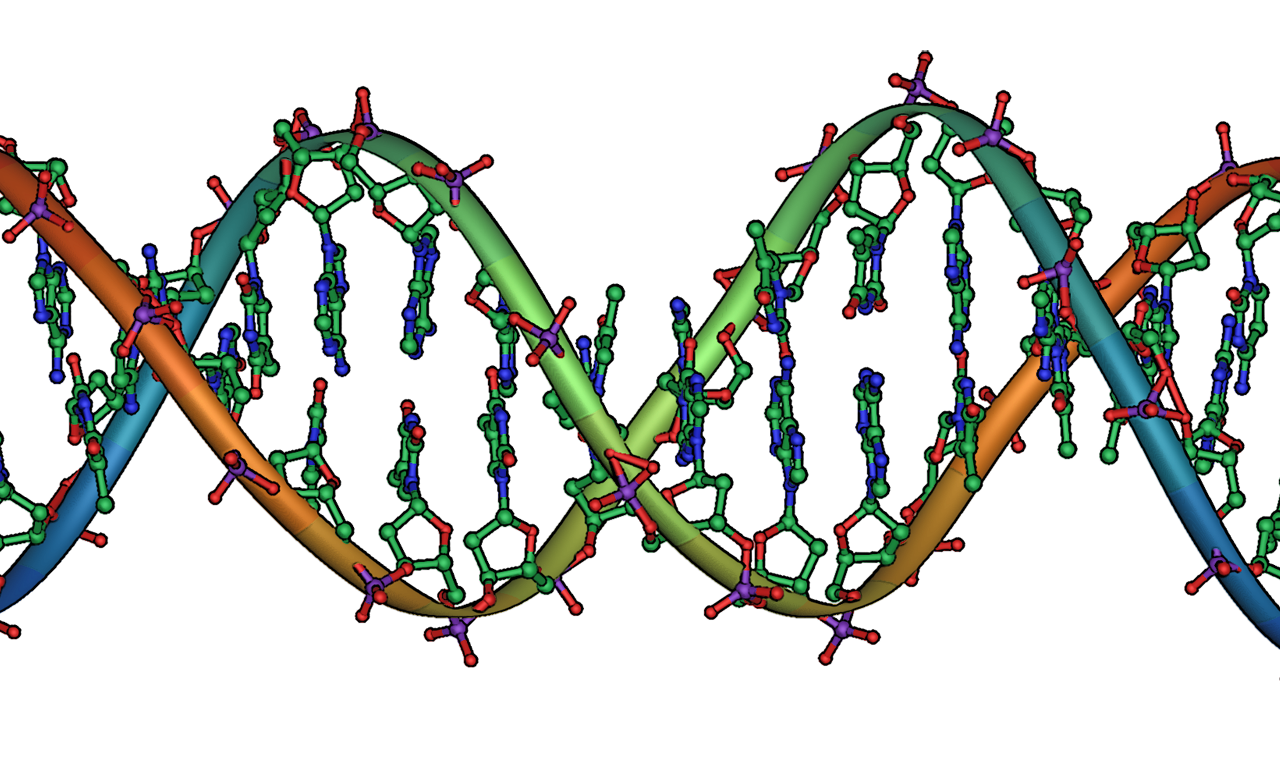 Двухцепочечная молекула РНК. ДНК коронавируса. Клетка ДНК. Ген это в биологии. При расшифровке генома папоротника